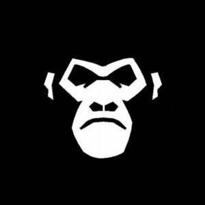 cool-gorilla-beach-club-allnftpro-300x300.jpg