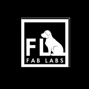 fab-labs-nft-allnftpro-300x300.jpg