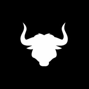 solana-bulls-society-allnftpro-300x300.jpg