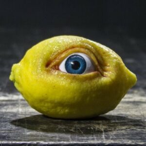 the-all-seeing-lemon-allnftpro-300x300.jpeg